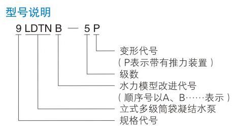 电站泵型号说明