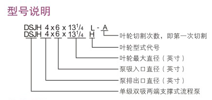 DSJH型石油化工流程泵型号说明